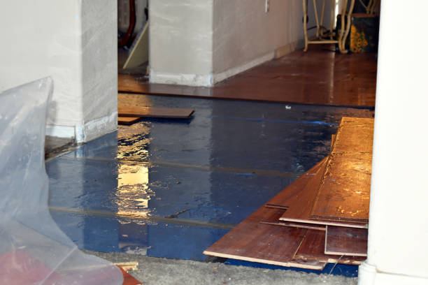 Professional Burst Pipe Cleanup technician working in Salisbury, MA